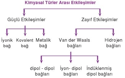 kimyasal-turler-arasi-etkilesimler.jpg